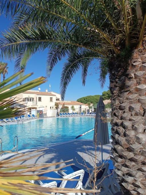 Studio Renove Dans Residence De Vacances Avec Grande Piscine Chauffee, Parking Et Terrasse Agde Exteriör bild