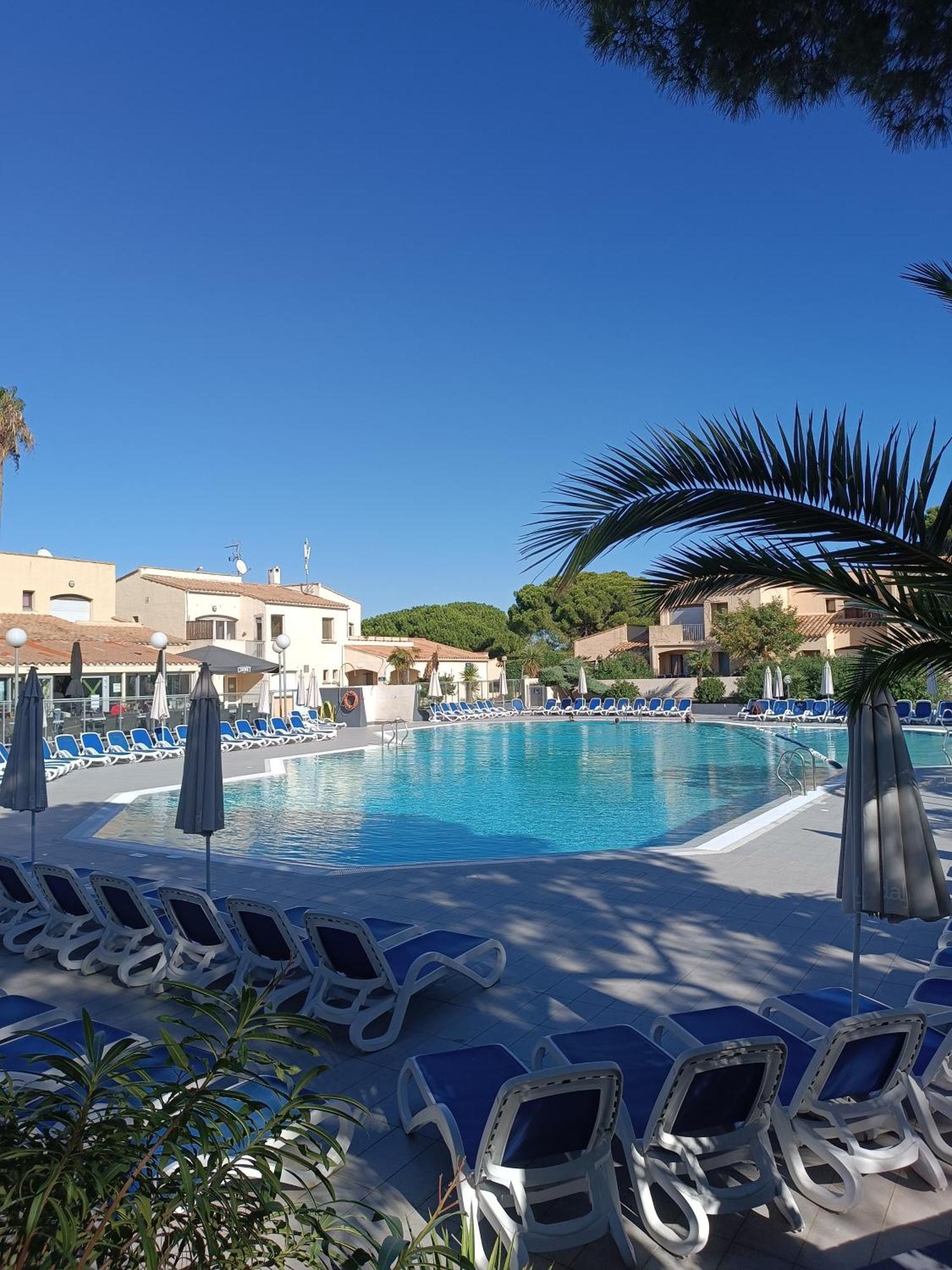 Studio Renove Dans Residence De Vacances Avec Grande Piscine Chauffee, Parking Et Terrasse Agde Exteriör bild